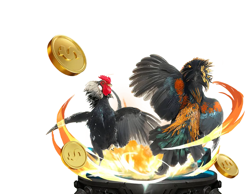 Sân chơi đá gà trực tuyến công bằng tại FLY88